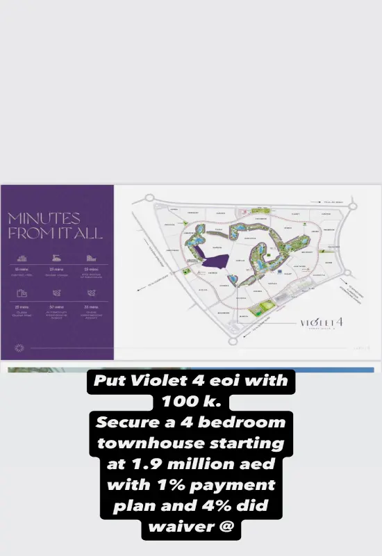 Violet4 offer2