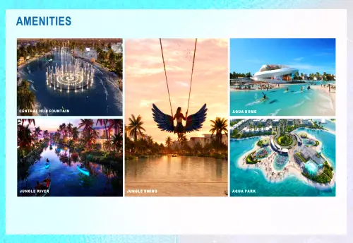 island shimg amen1 webp